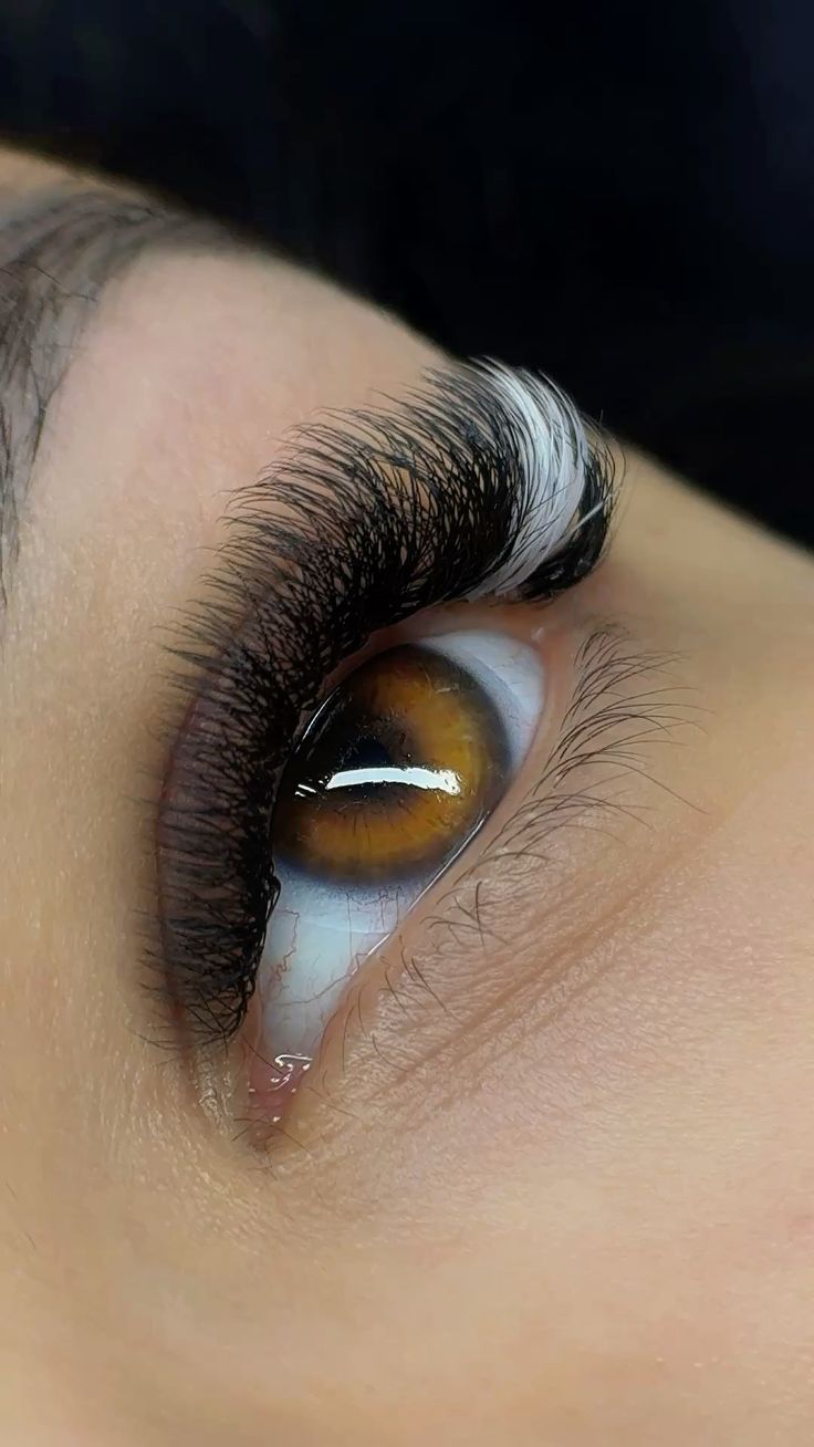 Coloured lashes