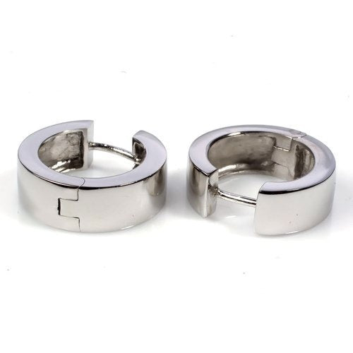 DNG stainless earings